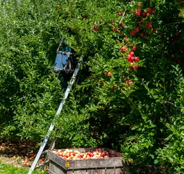 Market shifts push brands to adopt new sales paths