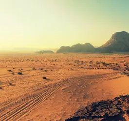 Small firms gain reach through fast social growth